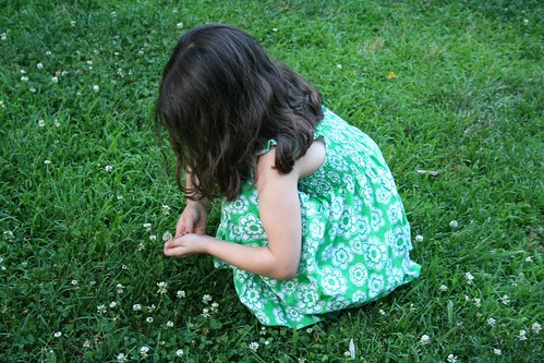 Picking clover flowers