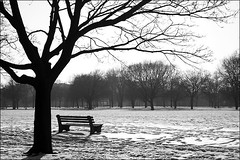 Snow bench