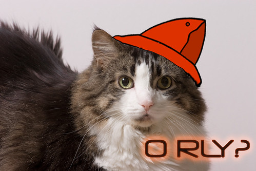 O RLY Cat in a red hat.