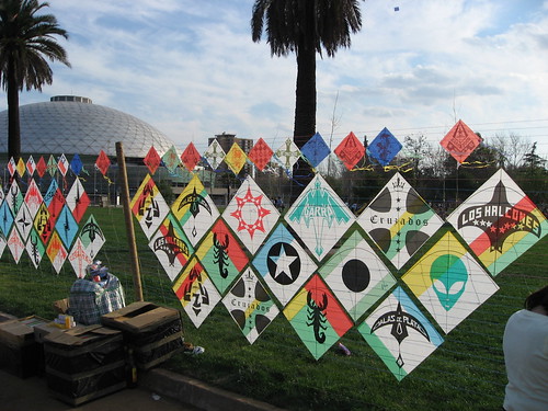 Rows of kites for sale