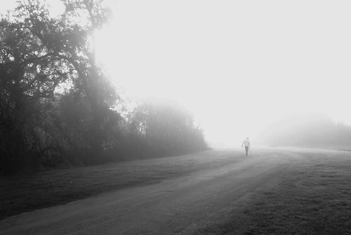 morning fog photo walk