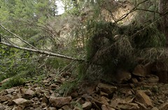 Banks-Vernonia landslide