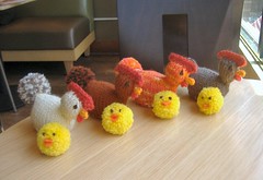 Chicken Egg Covers and Chicks