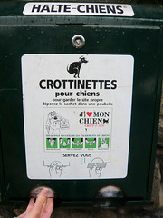 Crottinettes