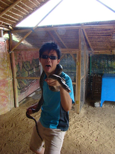 我與蛇