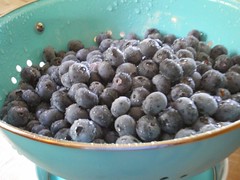 blueberries.JPG