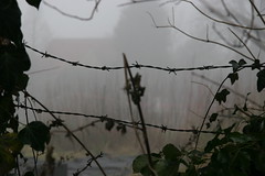 barbed wire in the mist