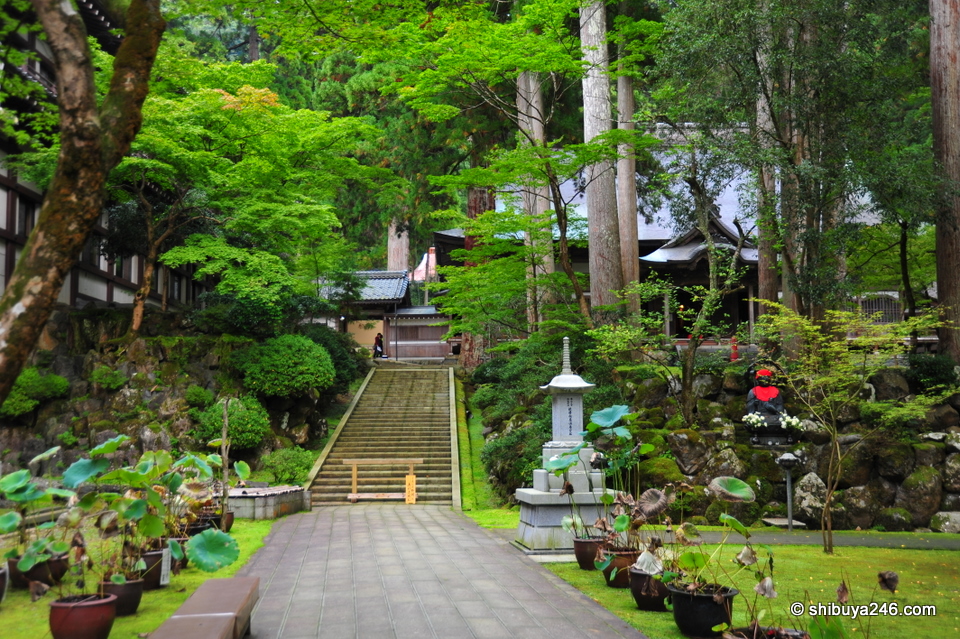 The temple is built on the hillside so there are stairs and gardens everywhere. It makes for a very nice setting