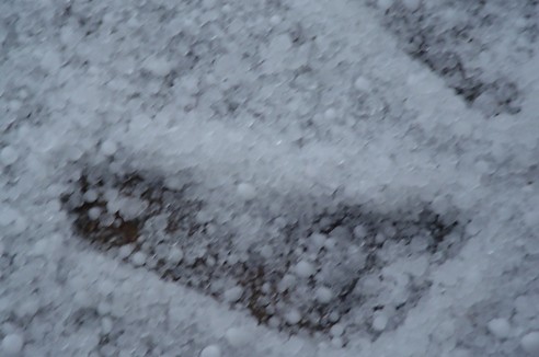 My footprint in the hail on the deck.