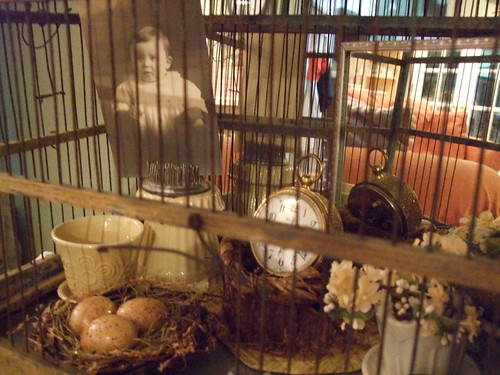 close up of birdcage decor