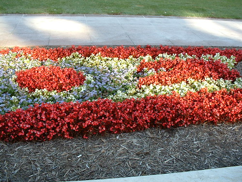 Ohio flag in flowers