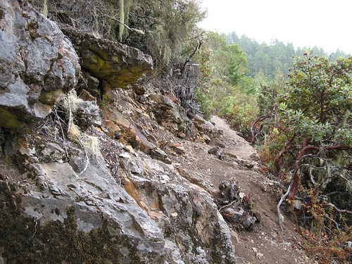 Rough trail