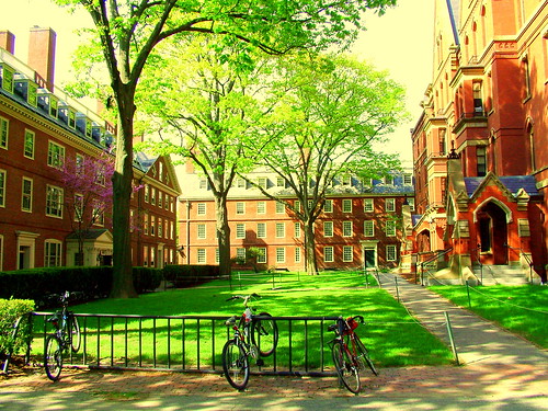 Dorms In Harvard