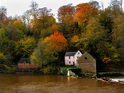 Autumn covers the banks of the River Wear.
