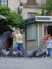 niñas y niños persiguiendo palomas