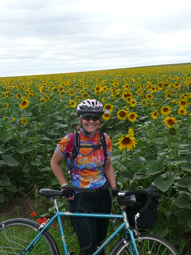 Lynne among the sunflowers