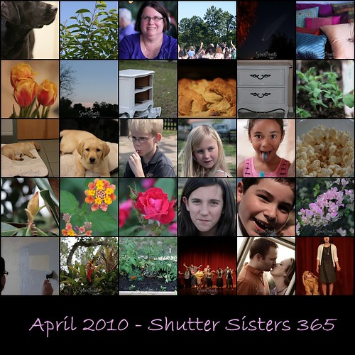 April Shutter Sisters 365 Mosaic-1