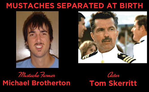 Mustaches Separated at Birth FOUR
