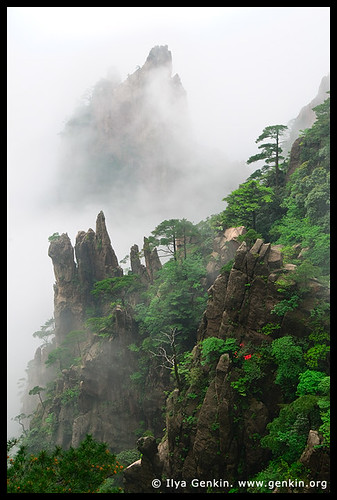 Pictures Of Mountains In China. (Yellow Mountains), China