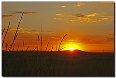 Palouse Sunset - by Roger Lynn