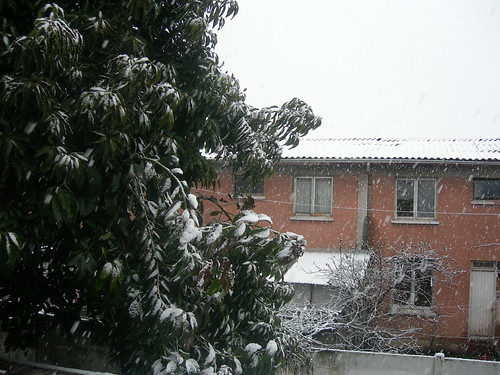 Snowing in Curicó