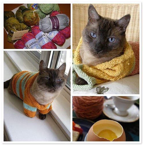 Yarn 2, Cat 0