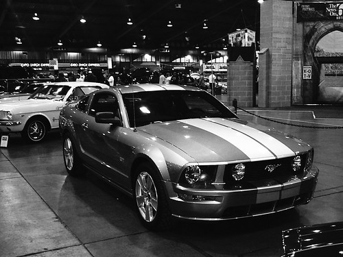 Mustang black & white