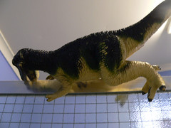 Dinosaur on shower