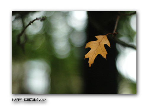 3 ~ Glimpses of Fall