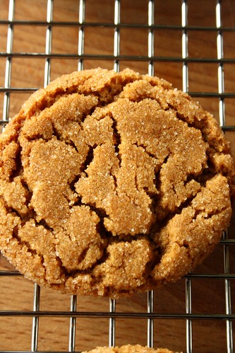 Old-Fashion Ginger Biscuits