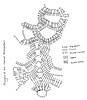 Stitch Diagram - Thread Starfish Fragment