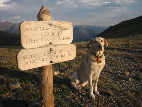 2007-09-08_34_kuzca_poses_at_the_border_of_rocky_mountain_national_park