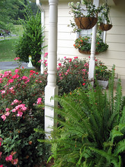 porch view august 2007
