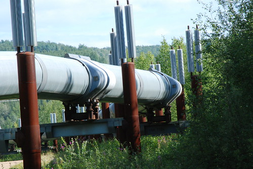 Trans-Alaskan Pipeline - 19