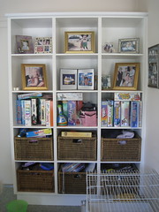 Shelves all messy