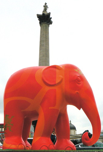 Red Elephant & Nelson's Column