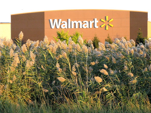 Wal-Mart Above The Grasses in the Meadowlands