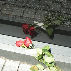 Roses at the foot of the Vietnam Veterans Memorial