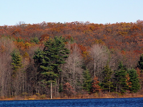 Pickerel Lake, October 29, 2006