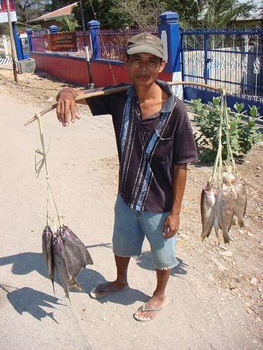 Local fisherman, Kupang, Timor.