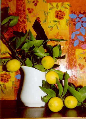 WHITE JUG WITH LIMES