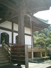06)鎌倉市材木座「光明寺」たくさん居る野良猫どうしの争いなんか無くて平和だ。