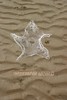 Filigree Thread Starfish