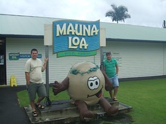 Mauna Loa Macadamia Nuts!