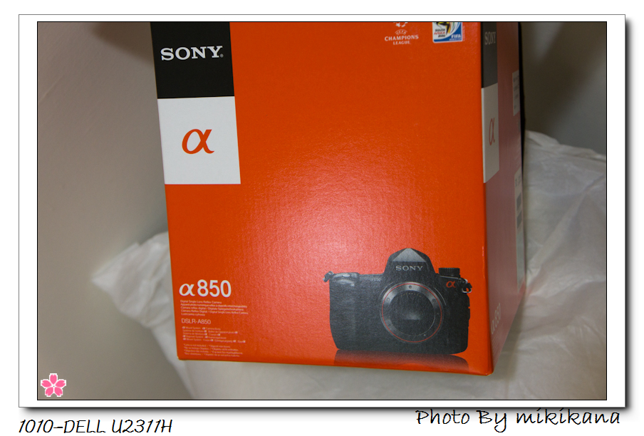 2010-Sony a850-1