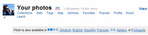 Flickr jetzt auch auf Deutsch