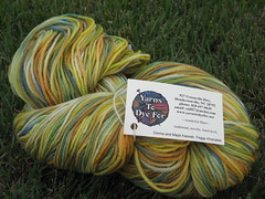 Yarns to Dye For