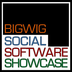 bigwig social software logo