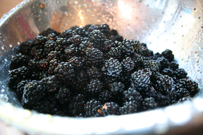 blackberry-2
