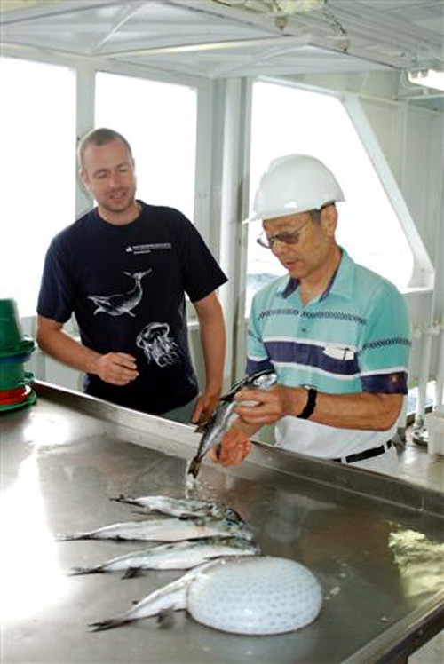Jens-Otto Krakstad and Dr. Iwamoto examining dead puffers. Photo by O. Alvheim 2010
